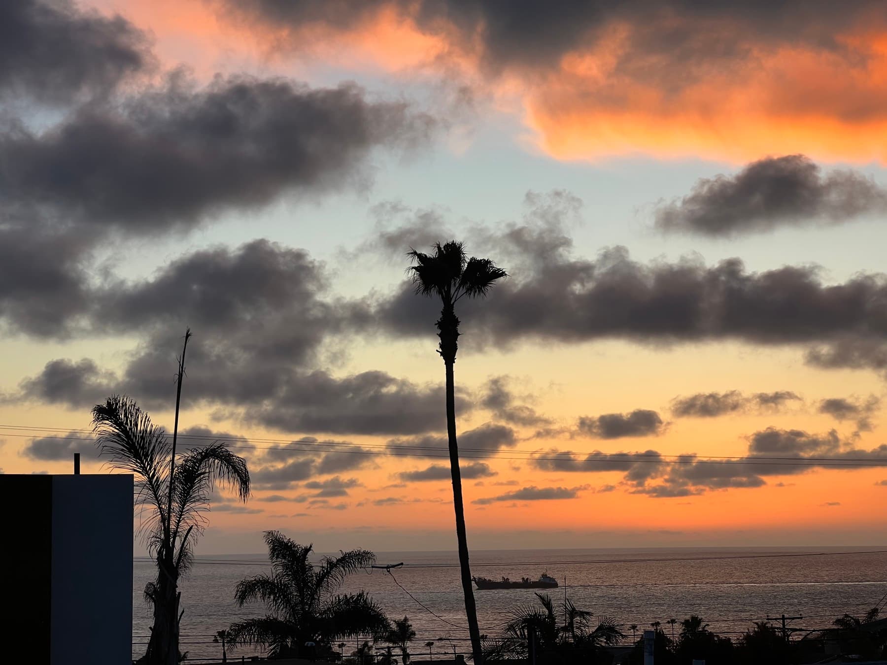 Coastal San Diego at sunset — palm silhouettes over the Pacific